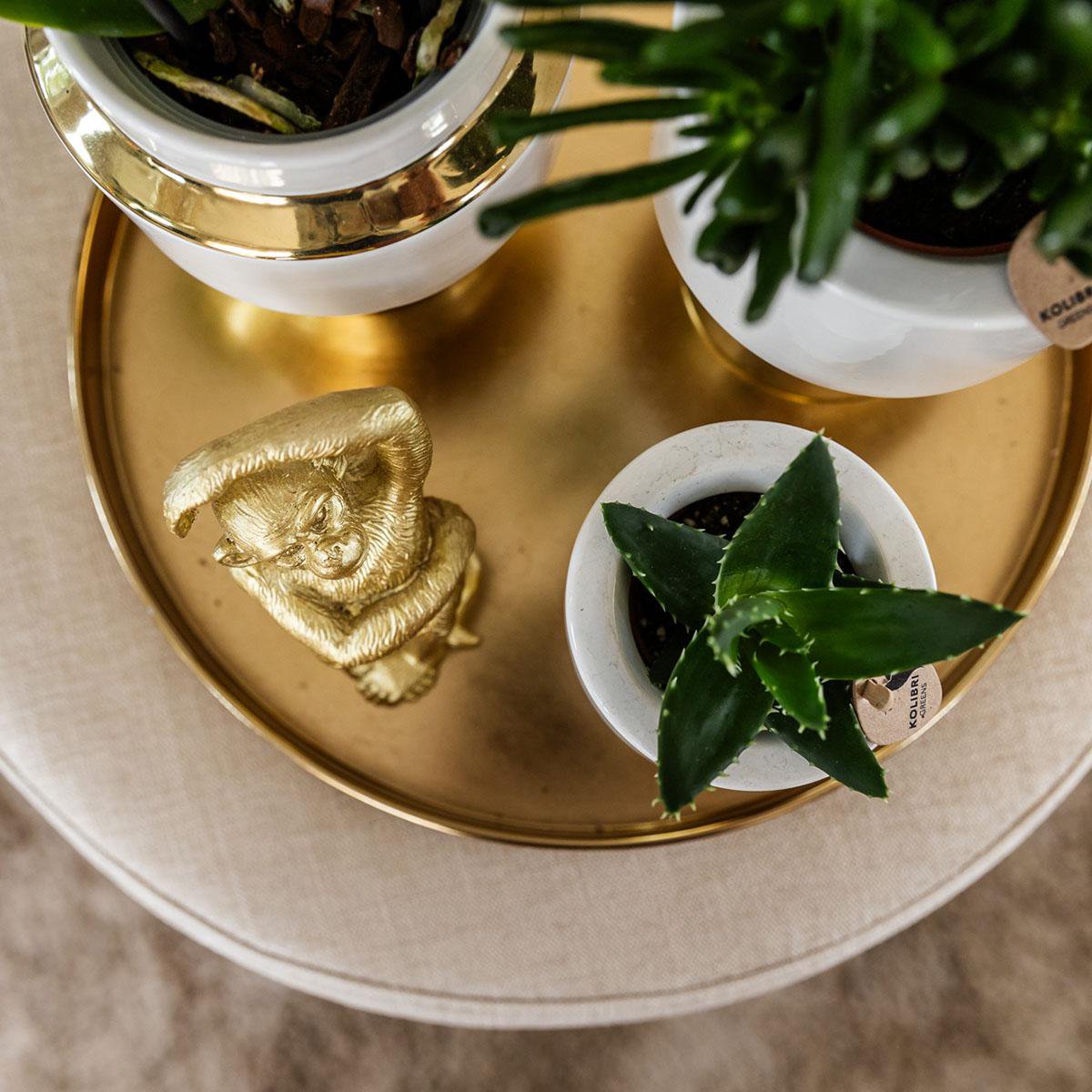 Hummingbird Home | Le Chic Ceramic Plant Pot - White with gold