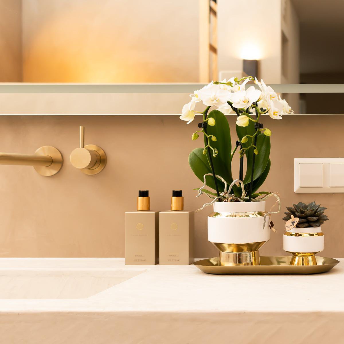 Hummingbird Home | Le Chic Ceramic Plant Pot - White with gold